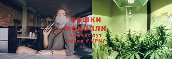 PSILOCYBIN Армянск