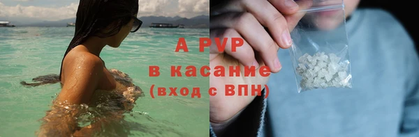 PSILOCYBIN Армянск
