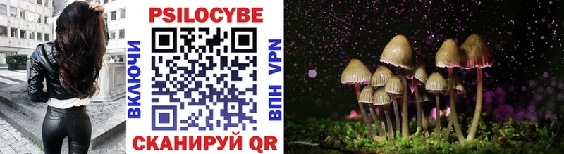 Псилоцибиновые грибы Cubensis  ссылка на мегу ССЫЛКА  Дорогобуж 